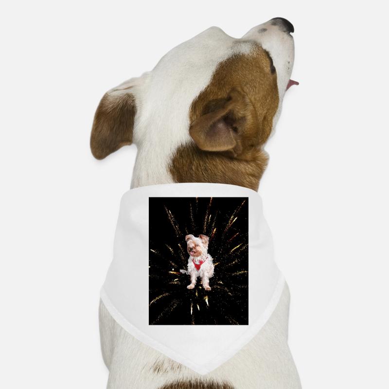 Yorkshire Terrier Hunde-Bandana