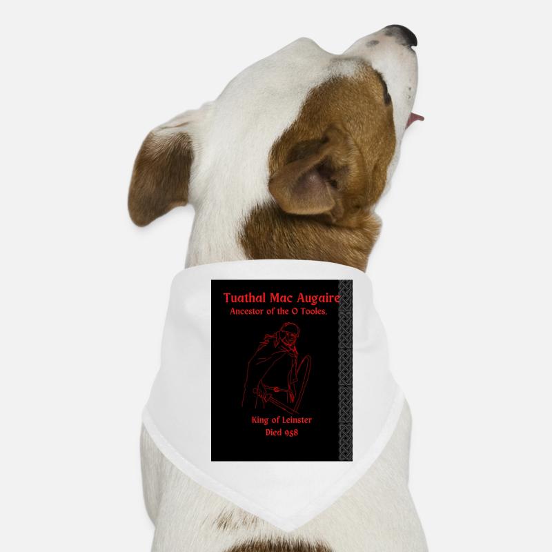 Tuathal Mac Augaire, Vorfahre der O Tooles Hunde-Bandana