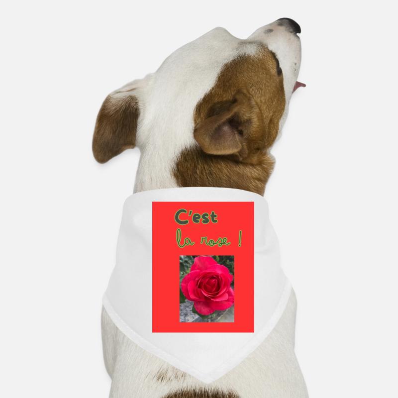 C'est la rose! Bandana pour chien