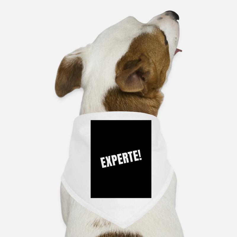 Expert! Bandana pour chien