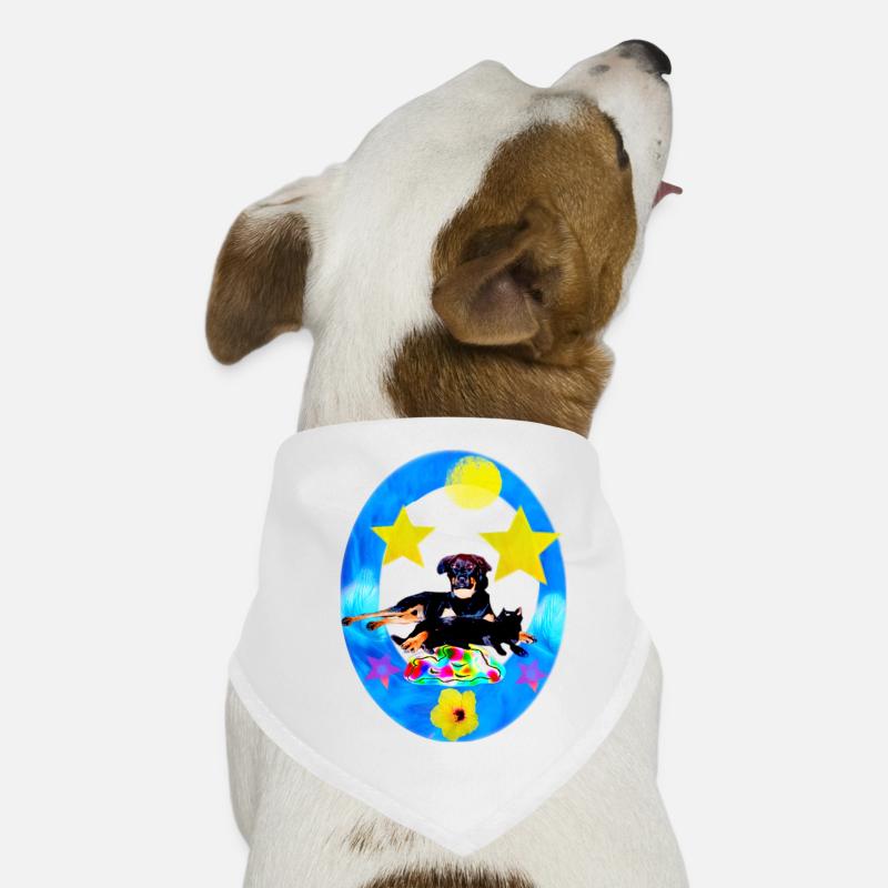 Quicklebendiger Rüde namens Lobo im Sternenrahmen Hunde-Bandana