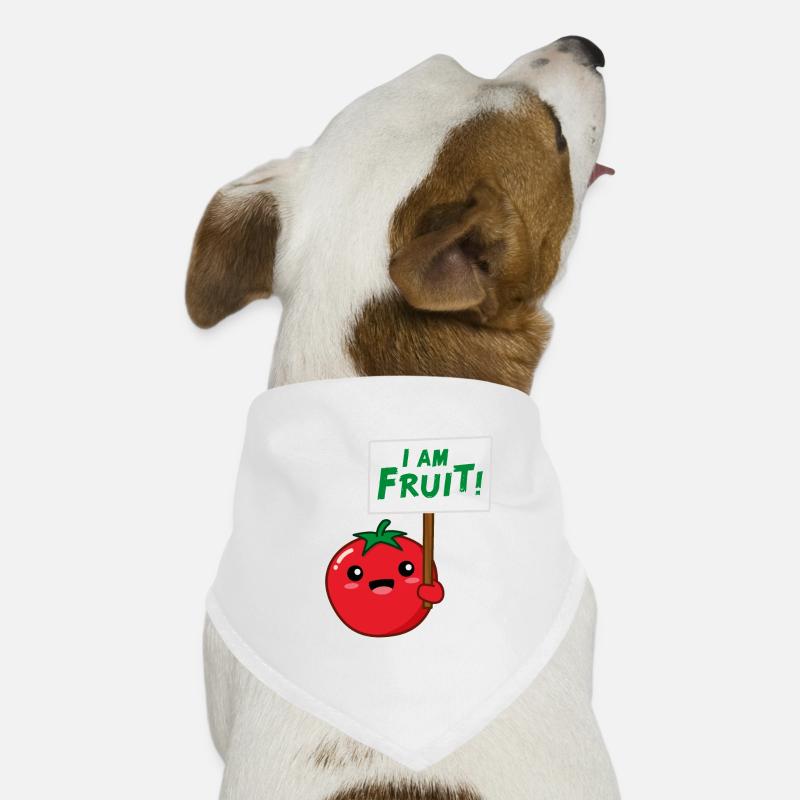 Ich bin Frucht Hunde-Bandana