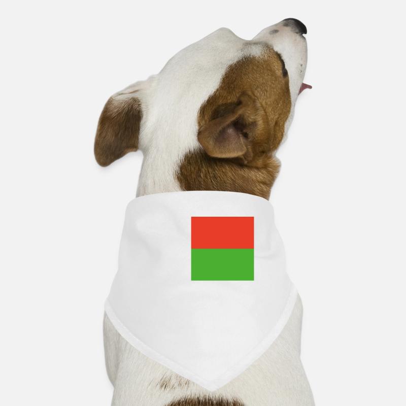 Offizielle Madagaskarflagge Madagassisch oder Madagassisch Hunde-Bandana
