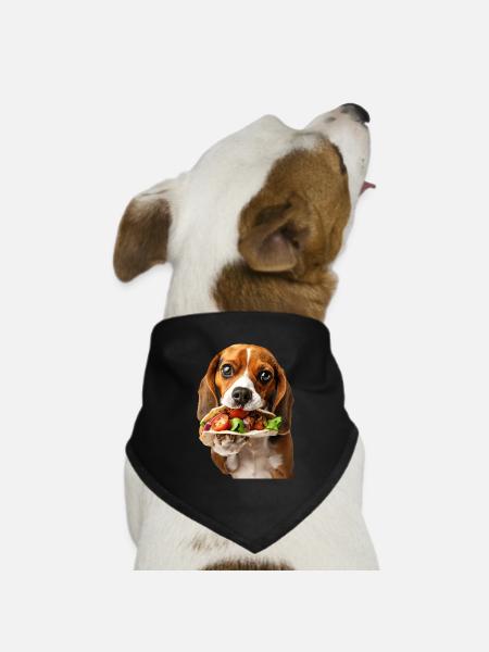 Beagle - Hunde-Bandana Dreieckstuch - Schwarz