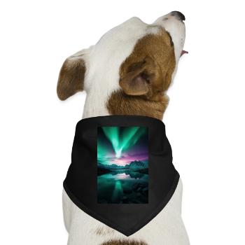 Polarlichter über arktischen Gipfeln - Hunde-Bandana Dreieckstuch - Schwarz - Vorne