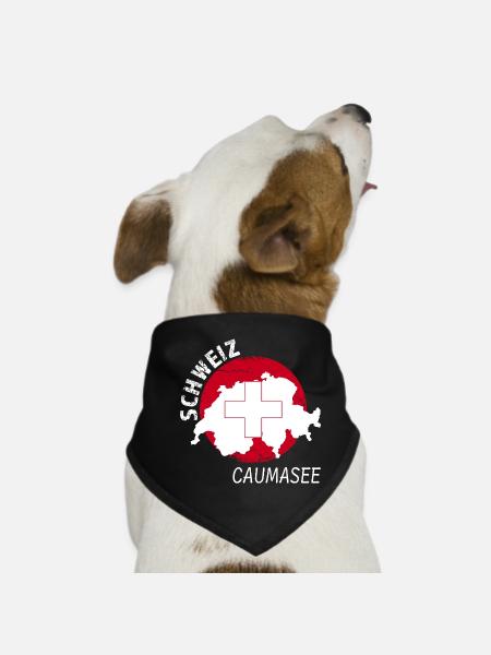 Caumasee - Hunde-Bandana - Schwarz - Vorne