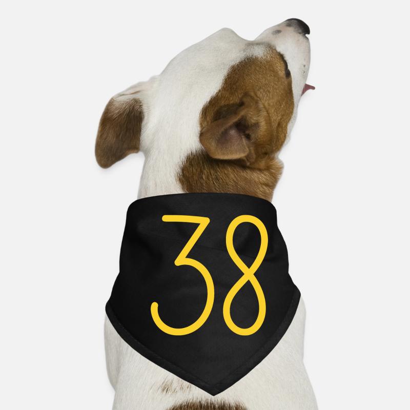 38 Hunde-Bandana