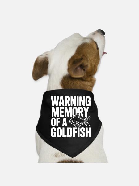 Warnerinnerung an einen Goldfisch - Hunde-Bandana - Schwarz - Vorne