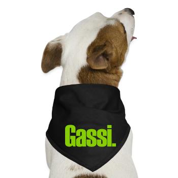 Gassi - Hunde-Bandana - Schwarz - Vorne