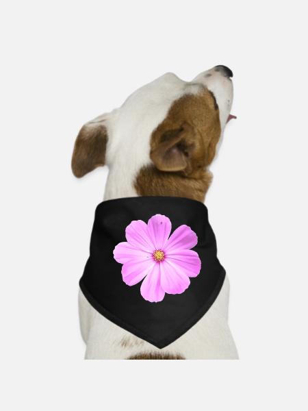 Blume - Hunde-Bandana - Schwarz - Vorne