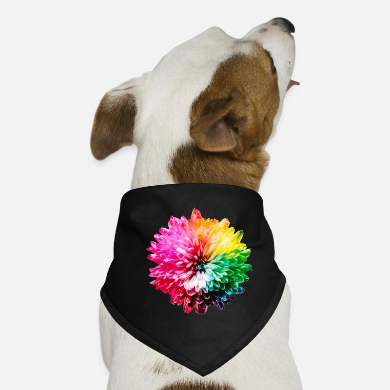 Chrysanthème Arc-en-ciel - Bandana pour chien - noir