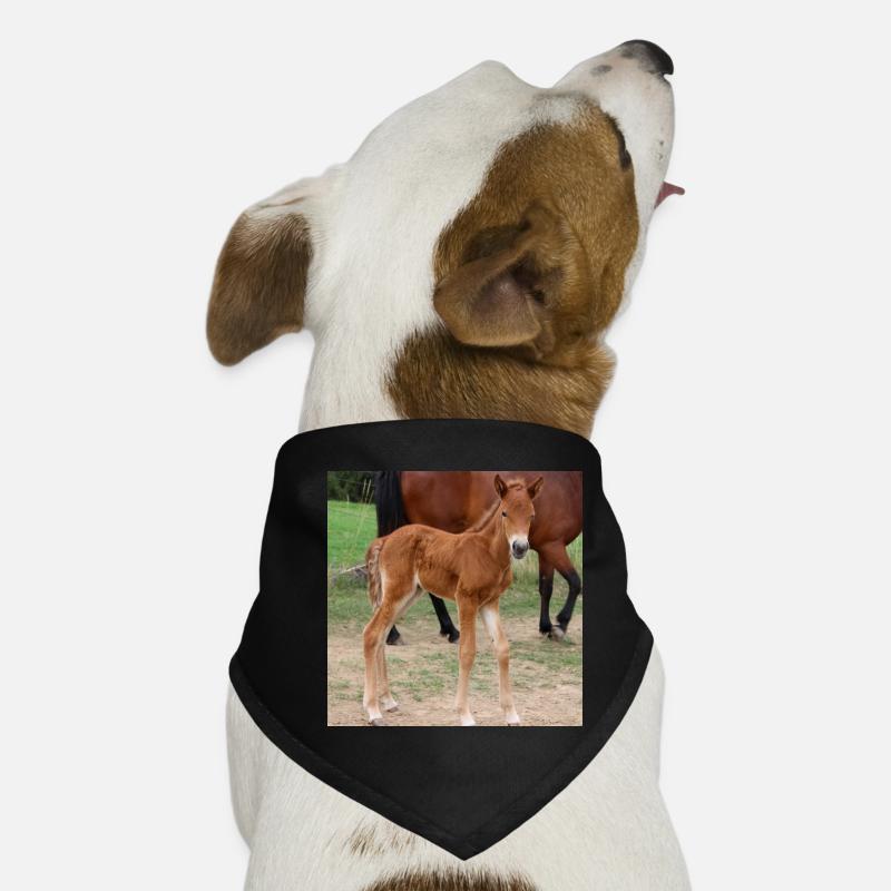 Bandana pour chien
