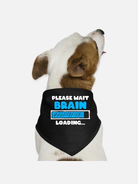 Zocker Lustige Sprüche Gamer - Hunde-Bandana - Schwarz - Vorne