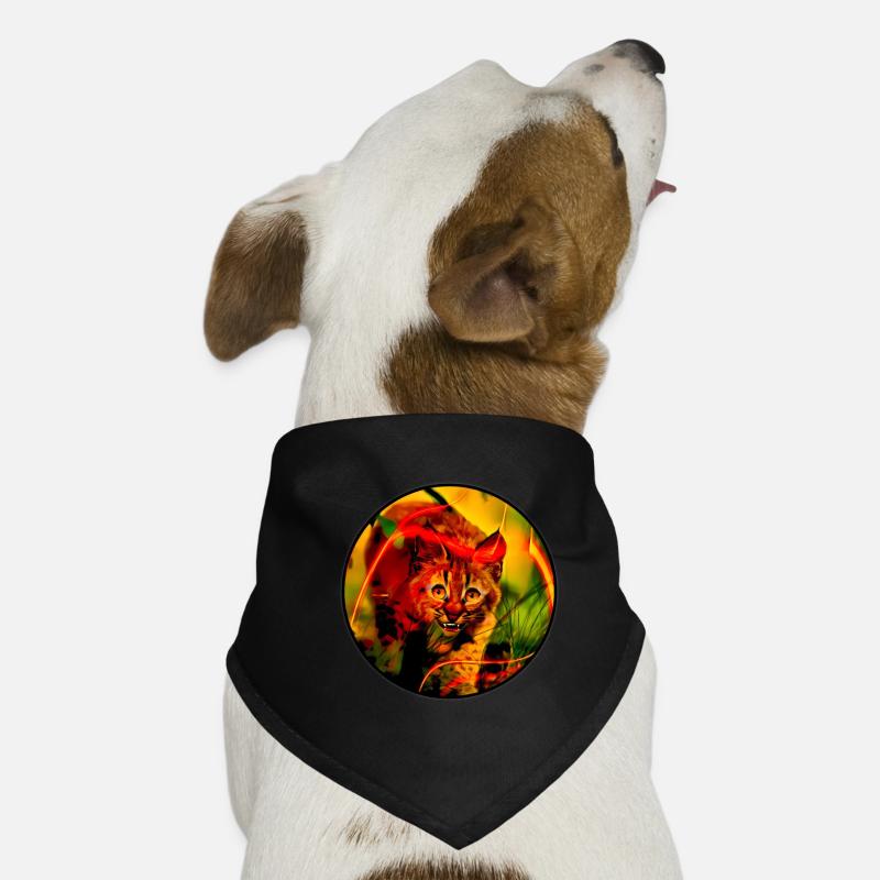 Petit chat lynx avec le sourire Bandana pour chien