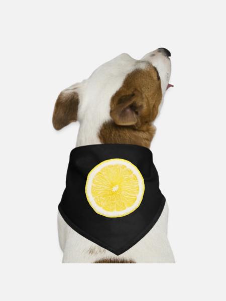 Half lemon - Dog Bandana - black - Front
