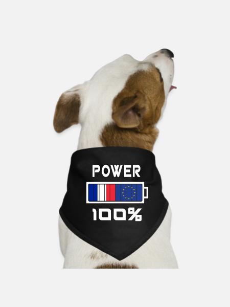 Europe and France Power 100% - Dog Bandana - black - Front