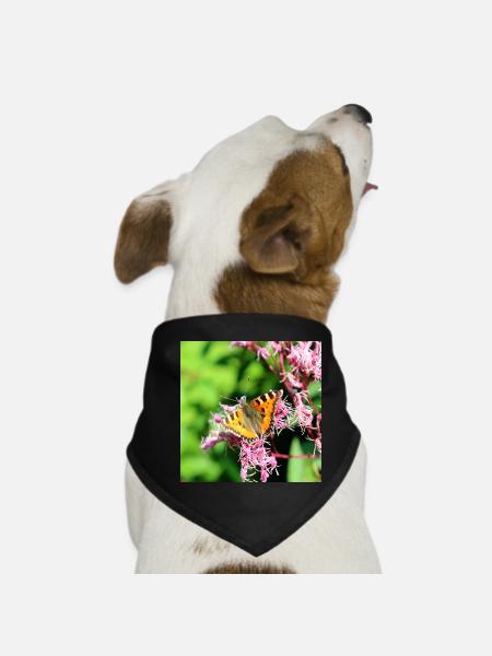 Butterflies - Dog Bandana - black - Front