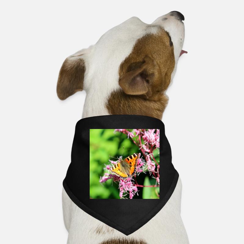Schmetterlinge Hunde-Bandana