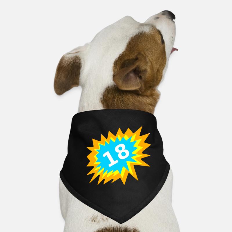 beste geschenkidee, 18 bunt Hunde-Bandana