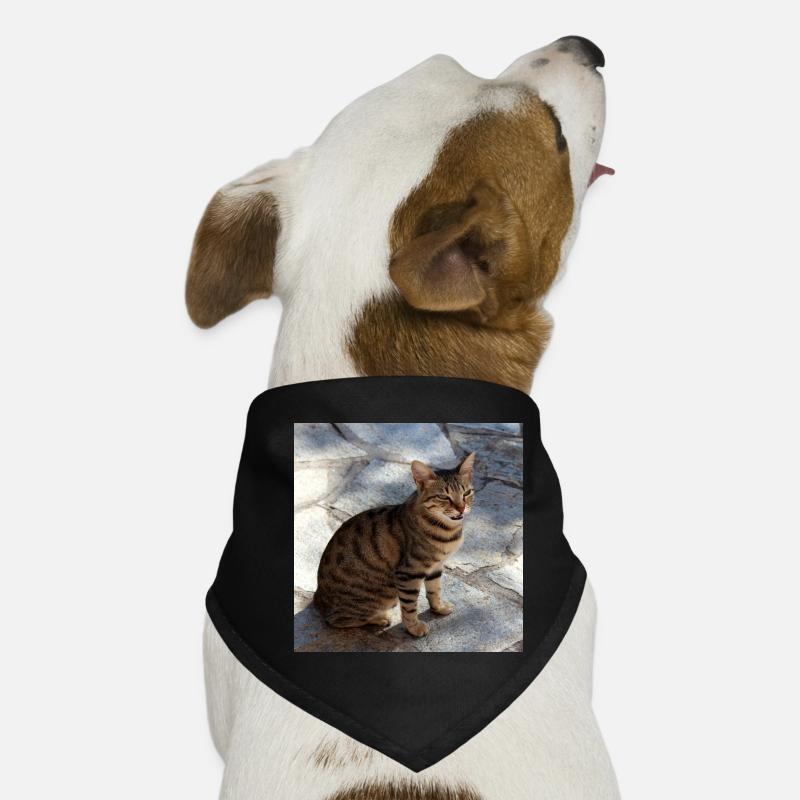 Chat chaton affiche chat carré affiche Bandana pour chien