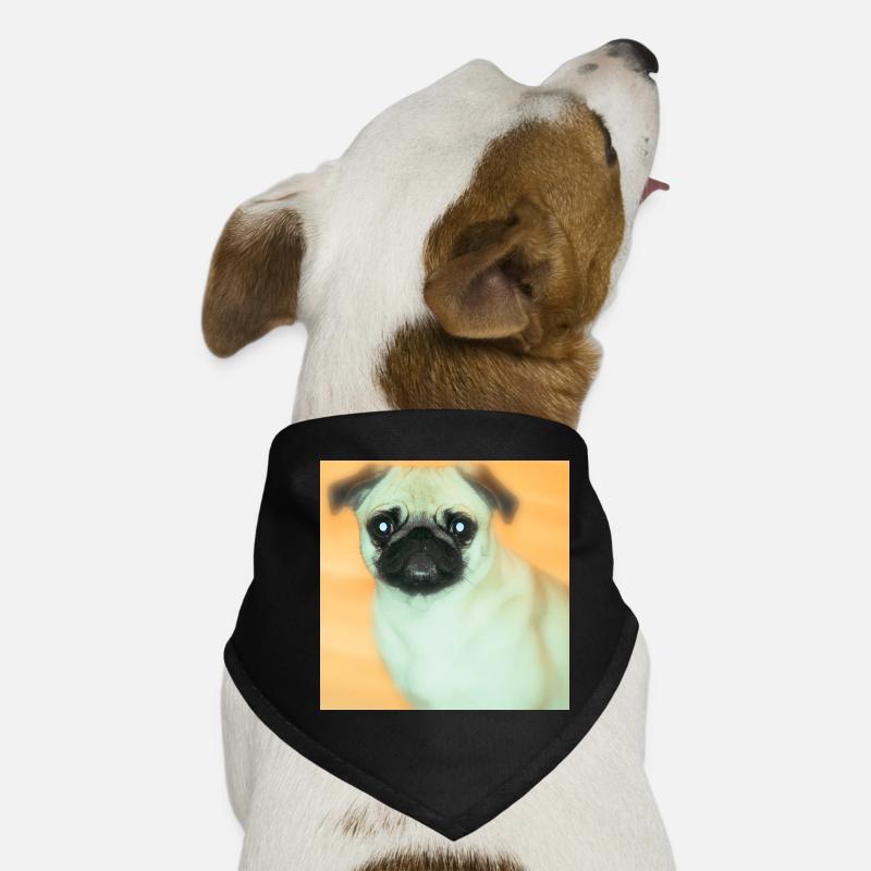 Carlin mignon avec de grands yeux - Bandana pour chien - noir