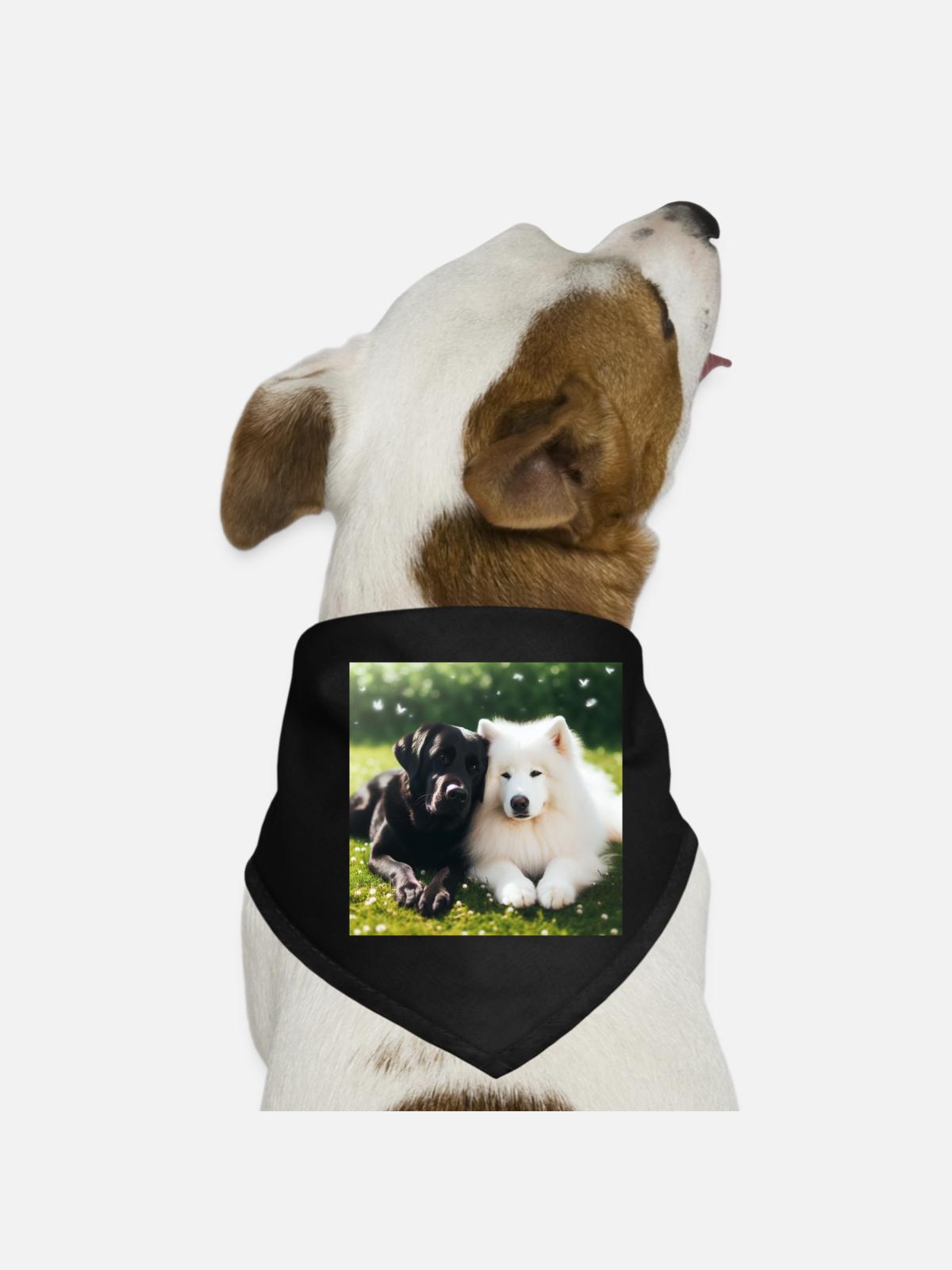 OIG1-KARTON - Hunde-Bandana - Schwarz - Vorne