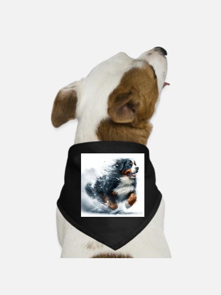 Berner Sennenhund - Hunde-Bandana - Schwarz - Vorne