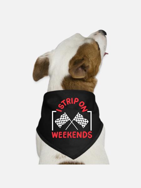 Drag Racing Rennwagen Drag Racer - Hunde-Bandana - Schwarz - Vorne