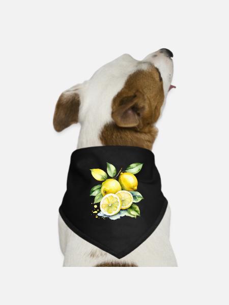 Citrons jaunes aigres à l’aquarelle - Bandana pour chien - noir - Devant