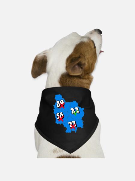 Région Bourgogne - Bandana pour chien - noir - Devant