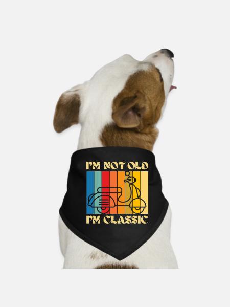 I’m Not Old, I’m Classic – Retro Scooter - Hunde-Bandana - Schwarz - Vorne