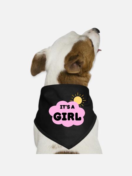 Es Ist Ein Mädchen, Baby Schwangerschaft Offenbarung Rosa Wolke - Hunde-Bandana - Schwarz - Vorne