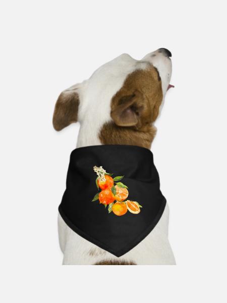 Orangen Summer Orange Trend 2025 Vintage Retro - Hunde-Bandana - Schwarz - Vorne