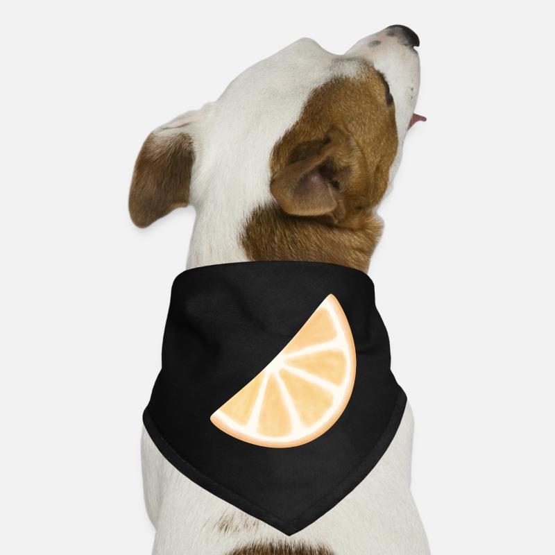Orange Slice Aquarell Glühen Hunde-Bandana
