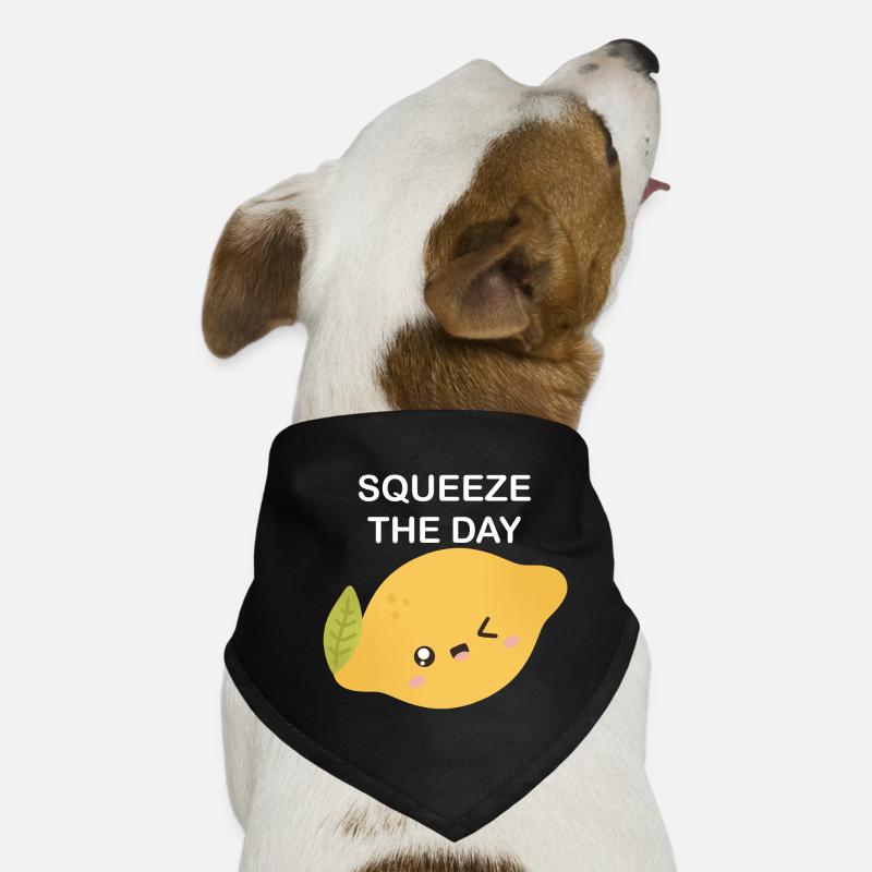 Squeeze the Day Zitronen-Charm Hunde-Bandana