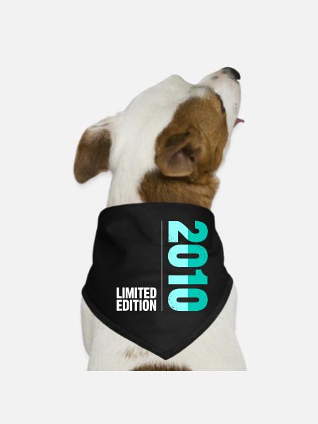 16 Geburtstag 2010 Junge Level 16 Freigeschaltet - Hunde-Bandana - Schwarz - Vorne