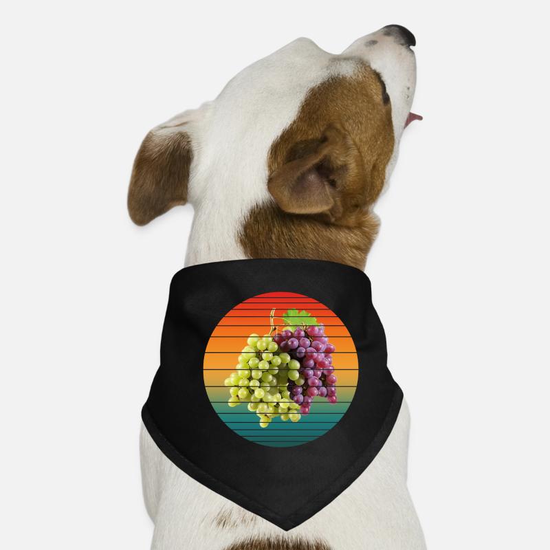 Pamplemousses Bandana pour chien