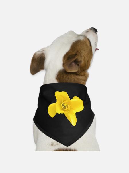 Oenothera_Biennis_Evening_Primrose_Nature_Print - Hunde-Bandana - Schwarz - Vorne