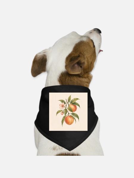 Doux comme une pêche | Design botanique vintage de pêche - Bandana pour chien - noir - Devant