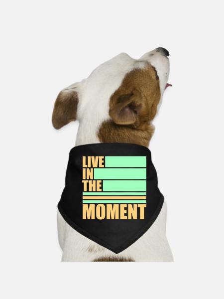 Live In The Moment Mindfulness Presence Awareness - Dog Bandana - black - Front