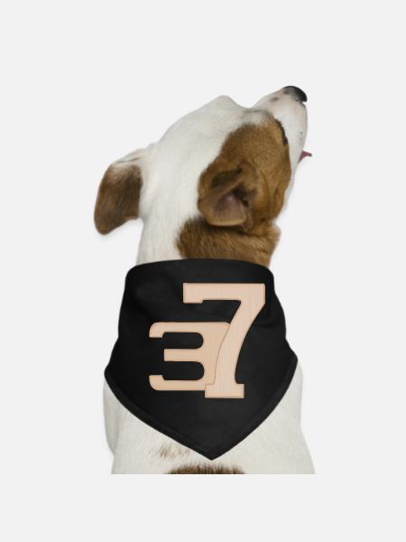 37 Numeral Art in Peach - Dog Bandana - black - Front