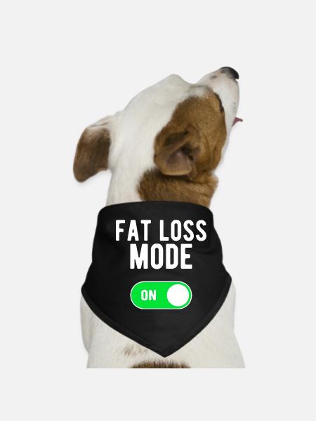 Fat Loss Mode ON Diet Nutrition Fat Loss - Dog Bandana - black - Front