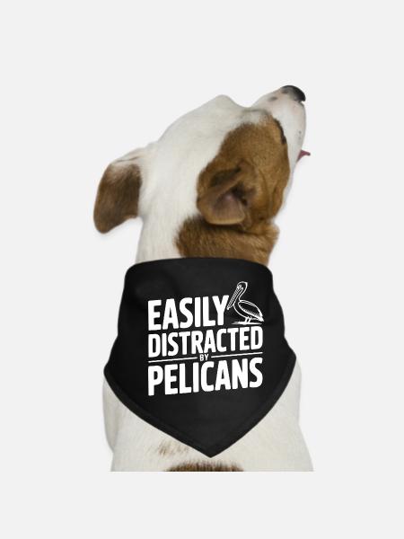 Easily Distracted by Pelicans - Dog Bandana - black - Front