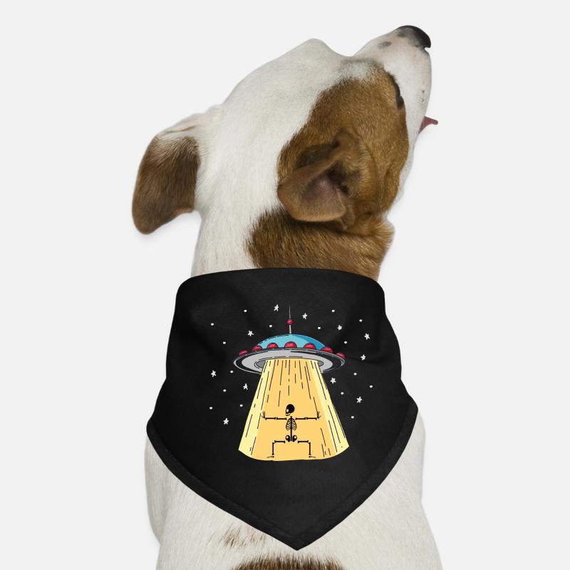 Installation d’un OVNI avec squelette Bandana pour chien