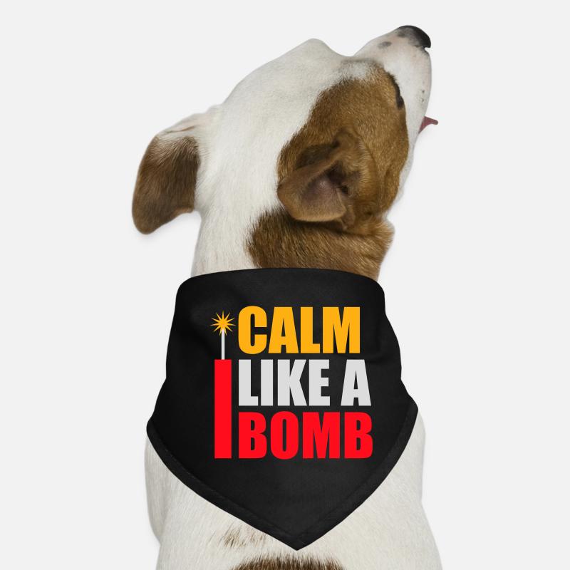 Calme comme une bombe Paradoxe Ironie Humour Blague explosive Bandana pour chien