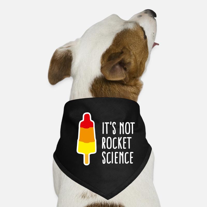 It's not rocket science Eis am Stiel Rakete nerd Hunde-Bandana