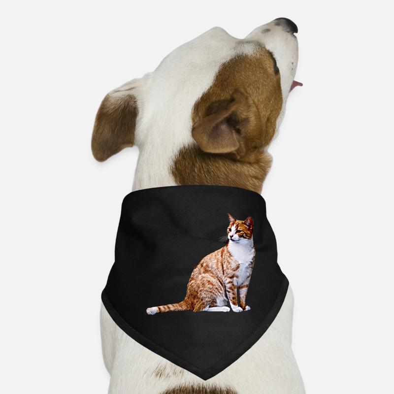 Katze Katzen Katze Cat Cats - Hunde-Bandana - Schwarz