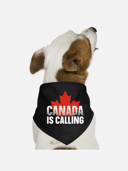 Canada - Dog Bandana - black - Front
