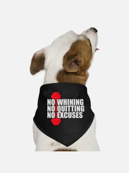 No Whining No Quitting No Excuses Gym Motivation - Hunde-Bandana - Schwarz - Vorne