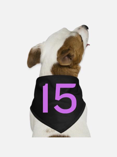 15 - Bandana pour chien - noir - Devant